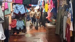 Comerciantes de la placita del Puente advierten que la zona franca “va a destruir al comercio local” imagen-1