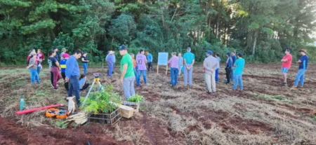 Más de 200 mil árboles para recuperar corredores de biodiversidad y preservar al yaguareté imagen-14