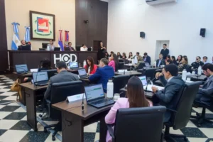 El Concejo Deliberante posadeño debate nuevo código de edificación imagen-1