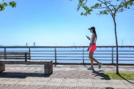 Domingo caluroso y ventoso, con máximas que llegarían a los 36°C imagen-22