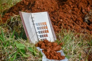 Desde el Inta destacan el Día de la Conservación de Suelo y su importancia para la producción imagen-2