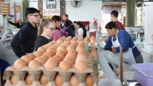 Crece el consumo de huevos en todo el país por ser una opción económica imagen-4