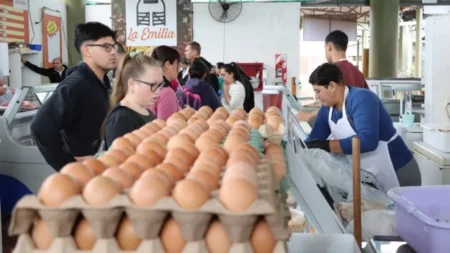 Crece el consumo de huevos en todo el país por ser una opción económica imagen-40