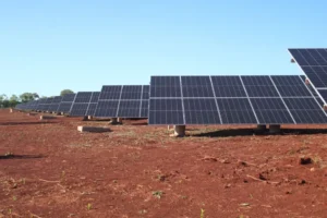 Avanza la obra del Parque Solar en Oberá imagen-1
