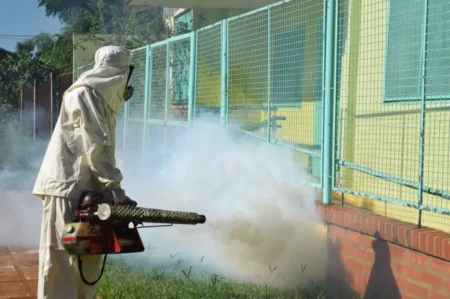 Presentan este martes en Posadas los avances de un proyecto de investigación sobre el dengue imagen-7