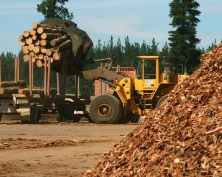 La Forestal Tapebicuá volverá a operar a partir del lunes 13 imagen-9
