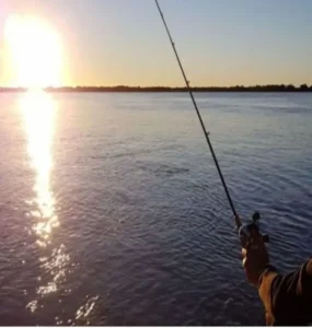 Comienza la veda de pesca en Misiones para proteger las especies de los ríos Paraná, Iguazú y Uruguay Comienza la veda de pesca en Misiones para proteger las especies de los ríos Paraná, Iguazú y Uruguay imagen-2