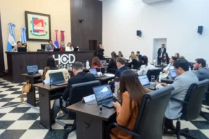 Concejo Deliberante de Posadas analiza el Presupuesto 2026 y avanza con nuevos proyectos ambientales y sociales imagen-3