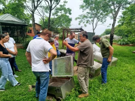 Apicultores de El Alcázar se capacitan para mejorar su producción Apicultores de El Alcázar se capacitan para mejorar su producción imagen-6