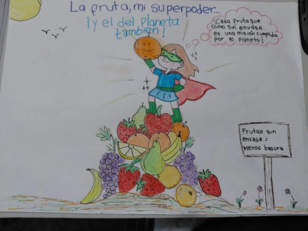 Escuela misionera gana el concurso 'Fruteá Tu Escuela'  imagen-4