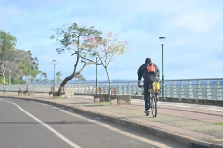 Lunes con mañana fresca en Misiones: la temperatura irá en aumento Lunes con mañana fresca en Misiones: la temperatura irá en aumento imagen-19