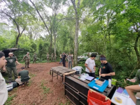 Iguazú: capturaron y reubicaron a la yaguareté “Pará” y sus cachorros en un operativo inédito en el país imagen-19