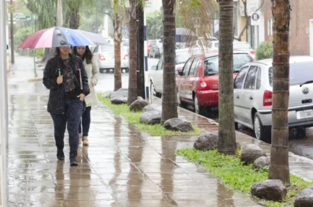 Sábado con lluvias y advertencia amarilla por posibles tormentas en Misiones Sábado con lluvias y advertencia amarilla por posibles tormentas en Misiones imagen-10