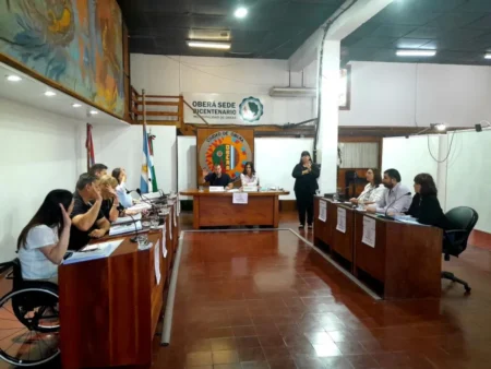 El Concejo de Oberá aprobó la ampliación de los presupuestos 2025 El Concejo de Oberá aprobó la ampliación de los presupuestos 2025 imagen-16