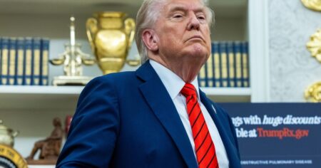 Donald Trump encabezará este lunes en Egipto una cumbre con otros líderes para sellar la paz en Gaza imagen-16