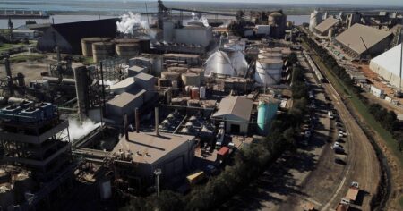 Dos grupos suben el precio de Vicentin y pelean los votos de los acreedores para comprar la empresa imagen-6