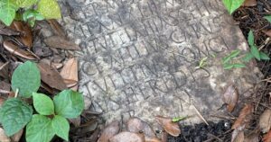 Limpiaban el jardín de su casa y encontraron una lápida romana de 1900 años de antigüedad imagen-3