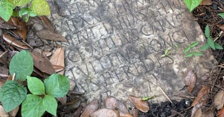 Limpiaban el jardín de su casa y encontraron una lápida romana de 1900 años de antigüedad imagen-18