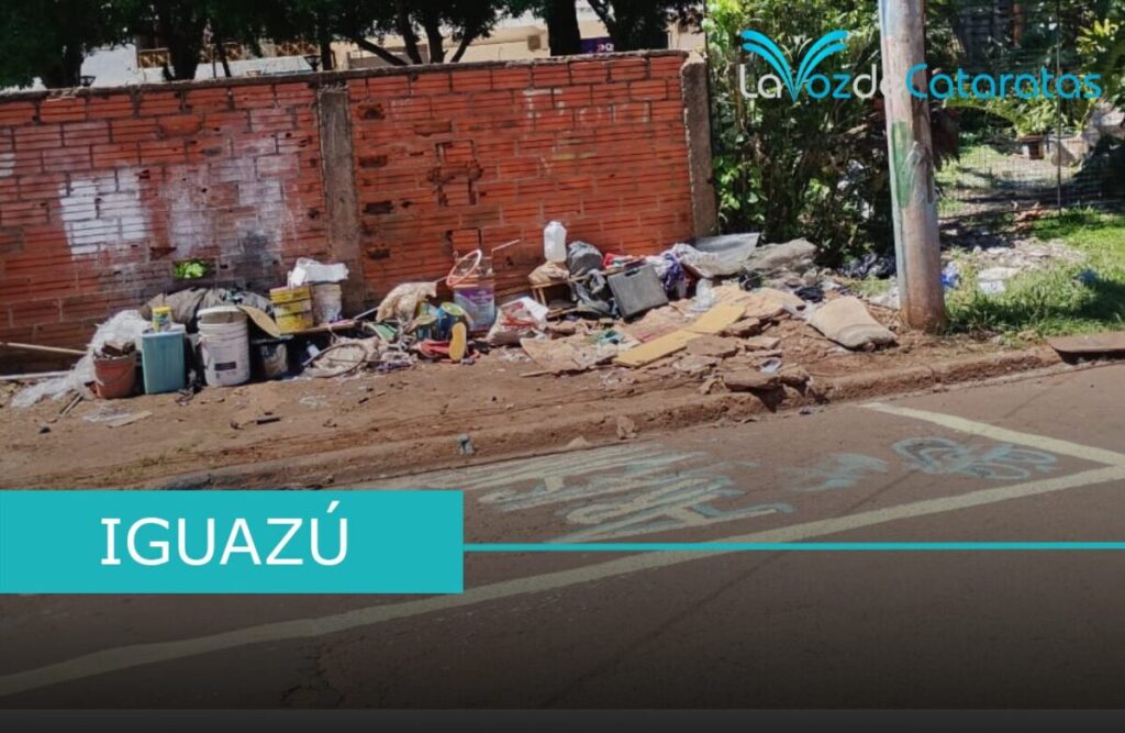 Oscuridad, maleza y basura: el reclamo de los vecinos del barrio Florida imagen-5