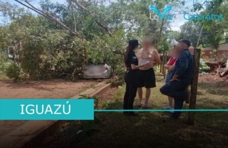 Un árbol cayo sobre un vehículo por los fuertes vientos Un árbol cayo sobre un vehículo por los fuertes vientos imagen-66