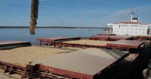 El mercado chino sigue siendo prioritario para la producción agroalimentaria argentina imagen-2
