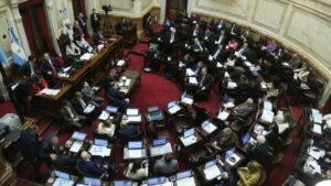 El Senado debate los vetos de Milei a las leyes que aumentan fondos para el Garrahan y universidades imagen-1