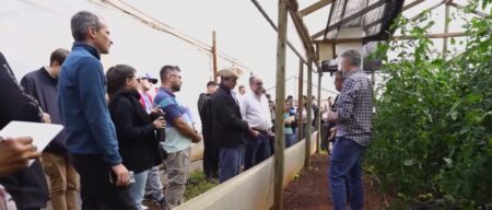 Emprendedores y cooperativas impulsan el cultivo hidropónico en las chacras locales imagen-14