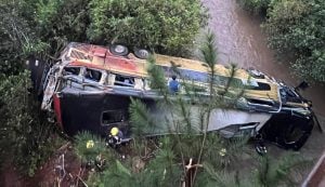“Vi una luz de frente, el chofer del colectivo lo vio, pero fue tarde”, contó uno de los sobrevivientes de la tragedia del arroyo del Yazá “Vi una luz de frente, el chofer del colectivo lo vio, pero fue tarde”, contó uno de los sobrevivientes de la tragedia del arroyo del Yazá imagen-3