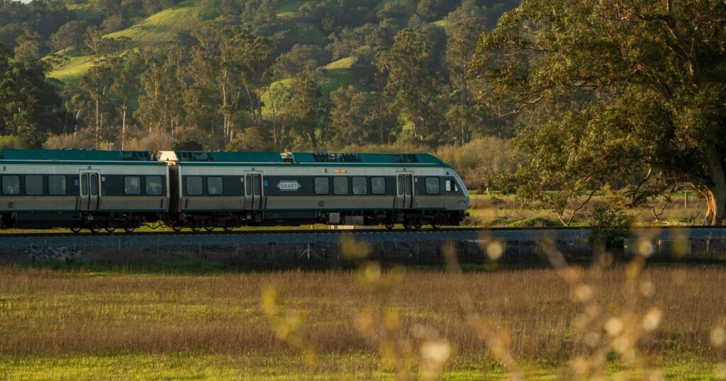 Viajaba en tren, sacó la cabeza por la ventanilla y murió: multaron a la empresa ferroviaria imagen-92