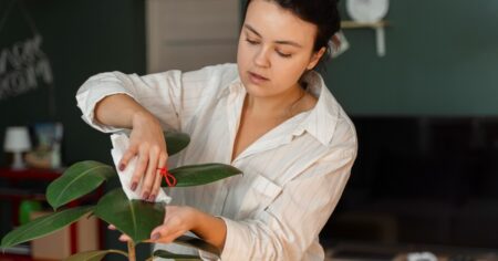Cuáles son los beneficios del bicarbonato en las plantas de interior imagen-17