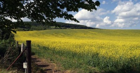 Cómo hacer la transición hacia una «agricultura de paisajes» Cómo hacer la transición hacia una "agricultura de paisajes" imagen-23