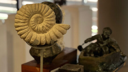 Noviembre en el Centro de Arte del Parque del Conocimiento imagen-25