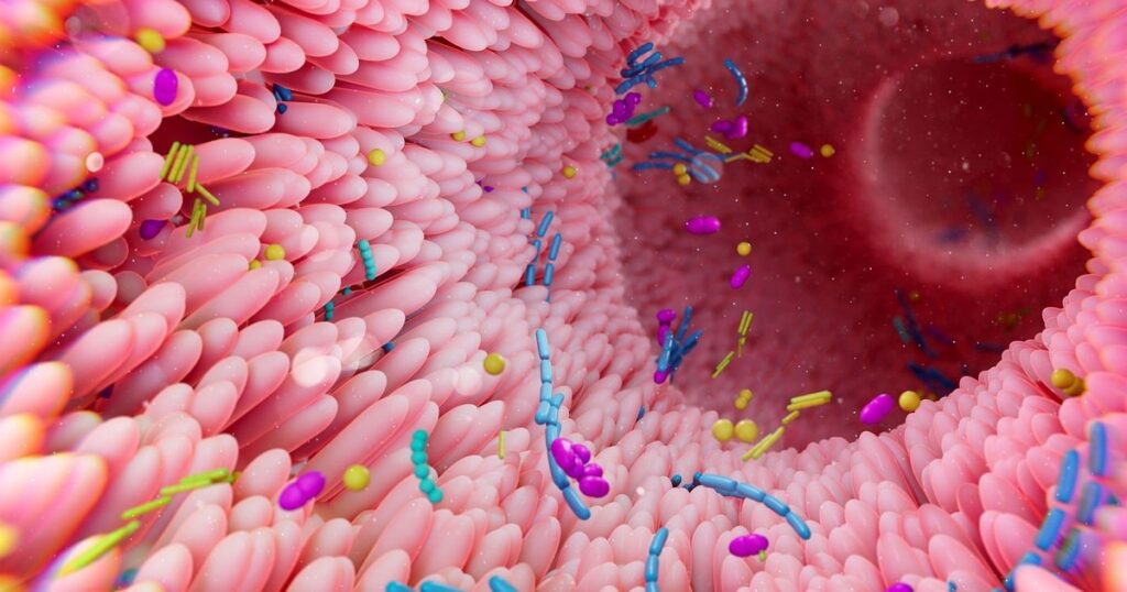 El “segundo cerebro”: cómo el intestino produce serotonina e influye en el ánimo El “segundo cerebro”: cómo el intestino produce serotonina e influye en el ánimo imagen-5