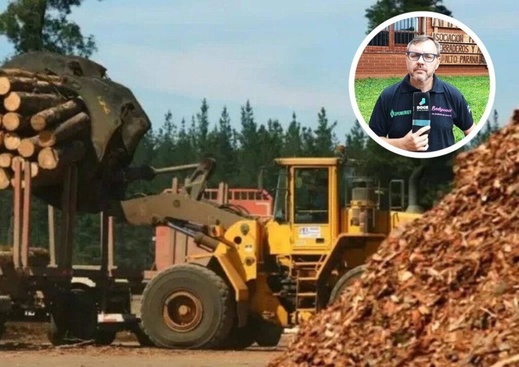 “Necesitamos políticas a nivel nacional que nos permitan mejoras logísticas y competitivas”, indicaron desde AMAYADAP “Necesitamos políticas a nivel nacional que nos permitan mejoras logísticas y competitivas”, indicaron desde AMAYADAP imagen-4