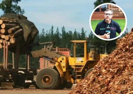 “Necesitamos políticas a nivel nacional que nos permitan mejoras logísticas y competitivas”, indicaron desde AMAYADAP “Necesitamos políticas a nivel nacional que nos permitan mejoras logísticas y competitivas”, indicaron desde AMAYADAP imagen-41