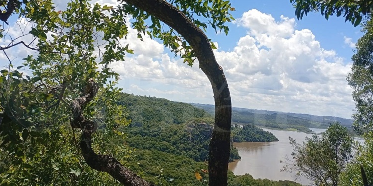 El proyecto de reforma del Código Penal amplía y endurece la protección ambiental El proyecto de reforma del Código Penal amplía y endurece la protección ambiental imagen-5