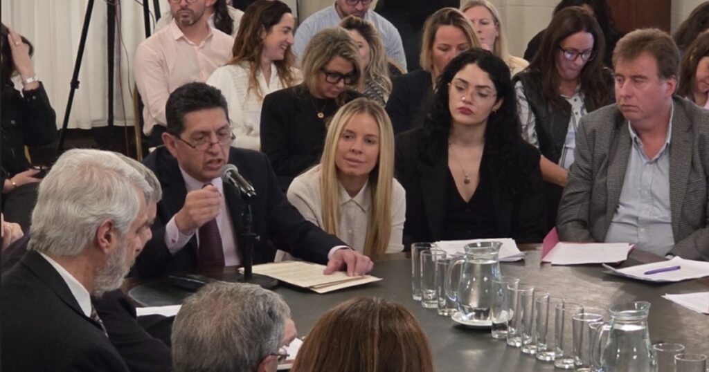 Ciudad: crean por ley un sistema que transparenta la inclusión de alumnos con discapacidad en las escuelas privadas imagen-4