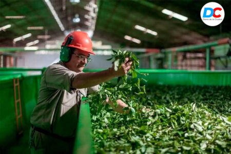 Nuevo decreto deja al INYM sin poder para intervenir ni fijar precios imagen-9