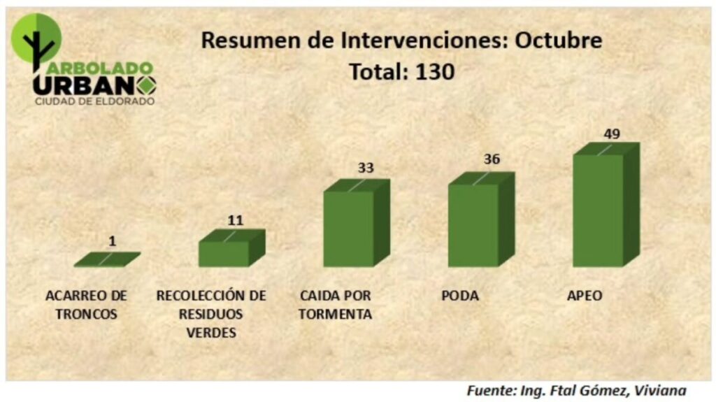 Eldorado avanza con el mantenimiento del arbolado urbano con más de 130 intervenciones en octubre Eldorado avanza con el mantenimiento del arbolado urbano con más de 130 intervenciones en octubre imagen-4