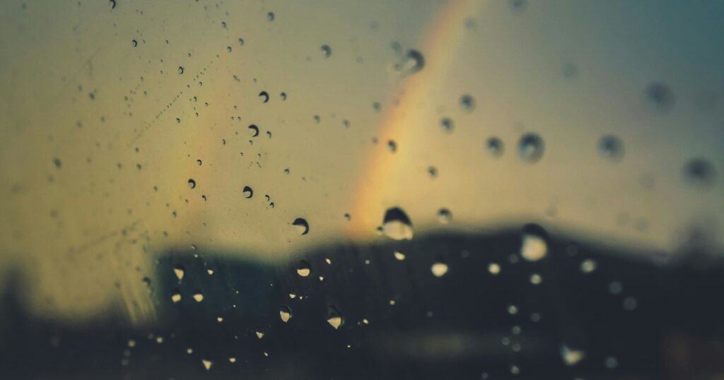 Clima hoy en La Plata, Buenos Aires: el pronóstico del tiempo para este sábado 29 noviembre de 2025 imagen-5