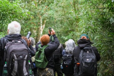 Invitan a una jornada de observación de aves en Puerto Rico Invitan a una jornada de observación de aves en Puerto Rico imagen-83