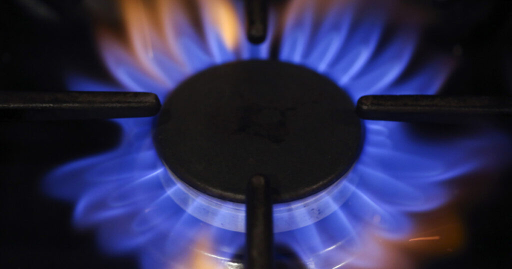 Cambios en las tarifas de luz y gas: a partir de enero, 7 millones de familias pierden los subsidios Cambios en las tarifas de luz y gas: a partir de enero, 7 millones de familias pierden los subsidios imagen-4