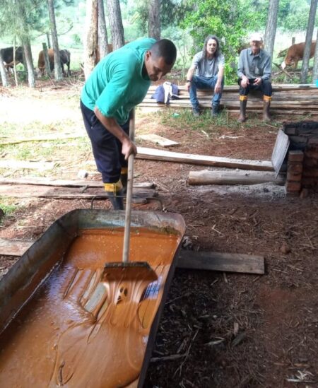 Una chacra multi productiva de Alba Posse mantiene la tradición centenaria de elaborar melado Una chacra multi productiva de Alba Posse mantiene la tradición centenaria de elaborar melado imagen-123