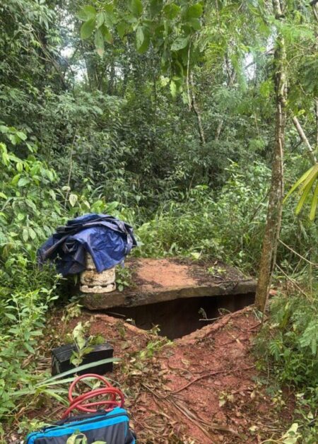 Puerto Iguazú: robó cables de una línea de alta tensión y fue arrestado cuando intentaba escapar Puerto Iguazú: robó cables de una línea de alta tensión y fue arrestado cuando intentaba escapar imagen-6