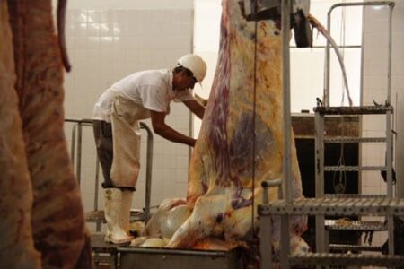 Controversia por el frigorífico de San Javier: productores rechazan pedido de cierre y piden apoyo para su mejora Controversia por el frigorífico de San Javier: productores rechazan pedido de cierre y piden apoyo para su mejora imagen-120