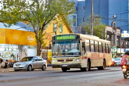 Ediles tratarán el nuevo pliego para el transporte público en Eldorado imagen-15