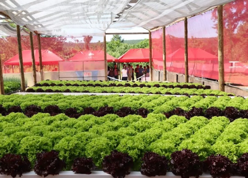 Eldorado inauguró el CITECH, un nuevo polo de innovación y desarrollo tecnológico para Misiones Eldorado inauguró el CITECH, un nuevo polo de innovación y desarrollo tecnológico para Misiones imagen-5