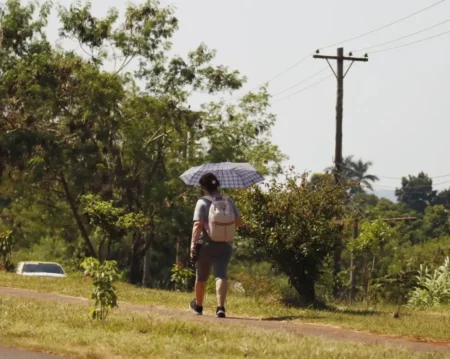 Verano más caluroso y con menos lluvias en Misiones: el SMN alerta por un trimestre crítico para la región Verano más caluroso y con menos lluvias en Misiones: el SMN alerta por un trimestre crítico para la región imagen-10