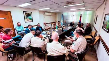 Afirman que más de la mitad del tabaco cosechado se fuga como contrabando Afirman que más de la mitad del tabaco cosechado se fuga como contrabando imagen-10