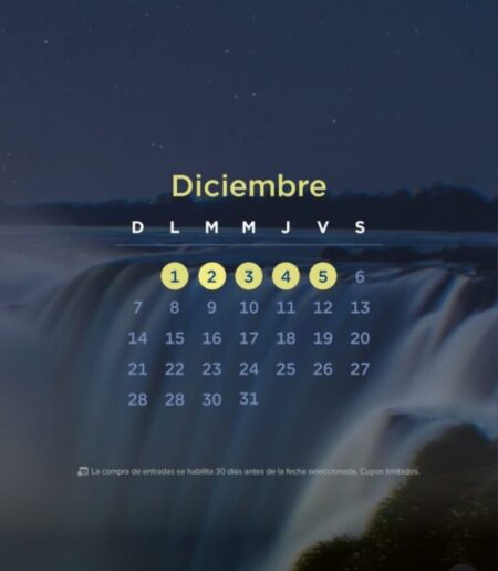 05 Diciembre 2025 05 Diciembre 2025 imagen-93